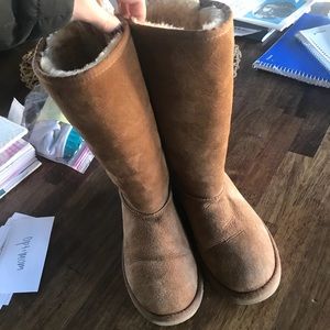 Tall chestnut uggs